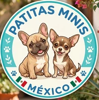 Logo de Patitas Minis México, criadero de cachorros de razas miniatura
